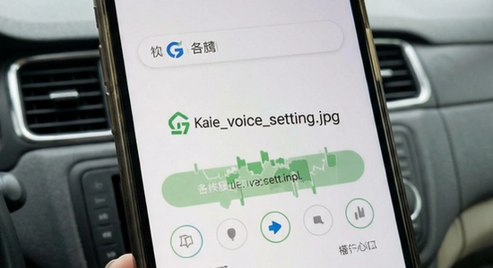 gaode_voice_setting.jpg