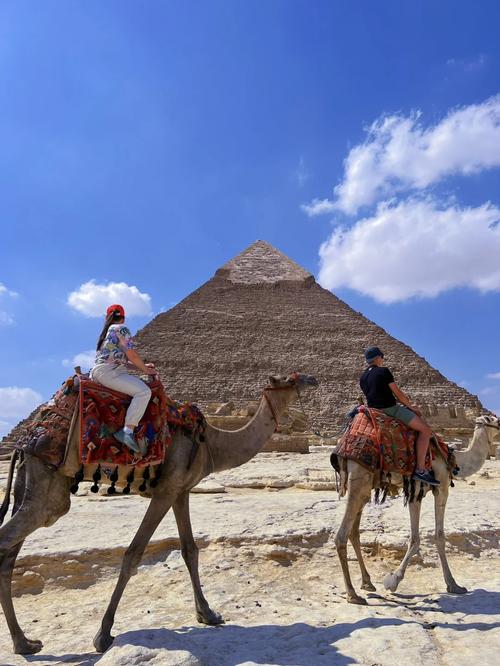 able rawer�ٷ������ؽ�ͼ