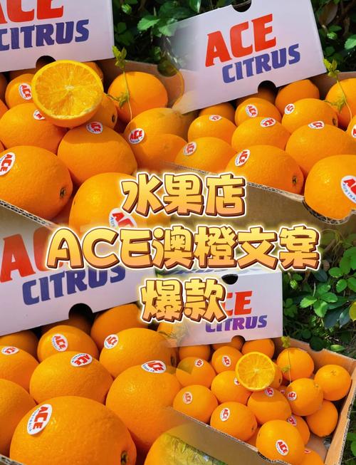 Ace Utilities�ٷ������ؽ�ͼ