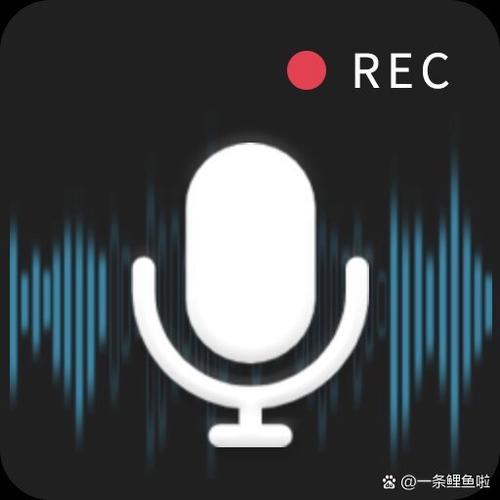 Audio Record Wizard���԰����ؽ�ͼ