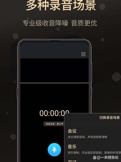 Audio Record Wizard���԰����ؽ�ͼ