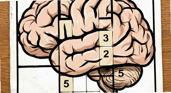 http://www.6ll.com/images/sudoku_brain.png