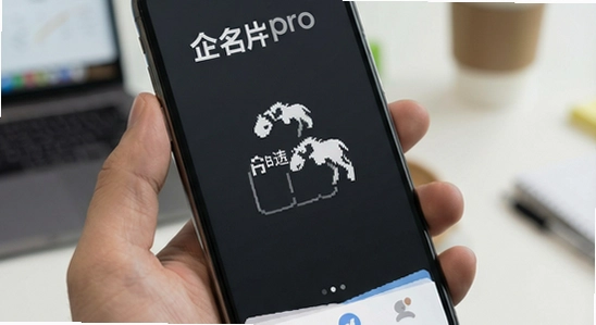 ����Ƭpro������ô��