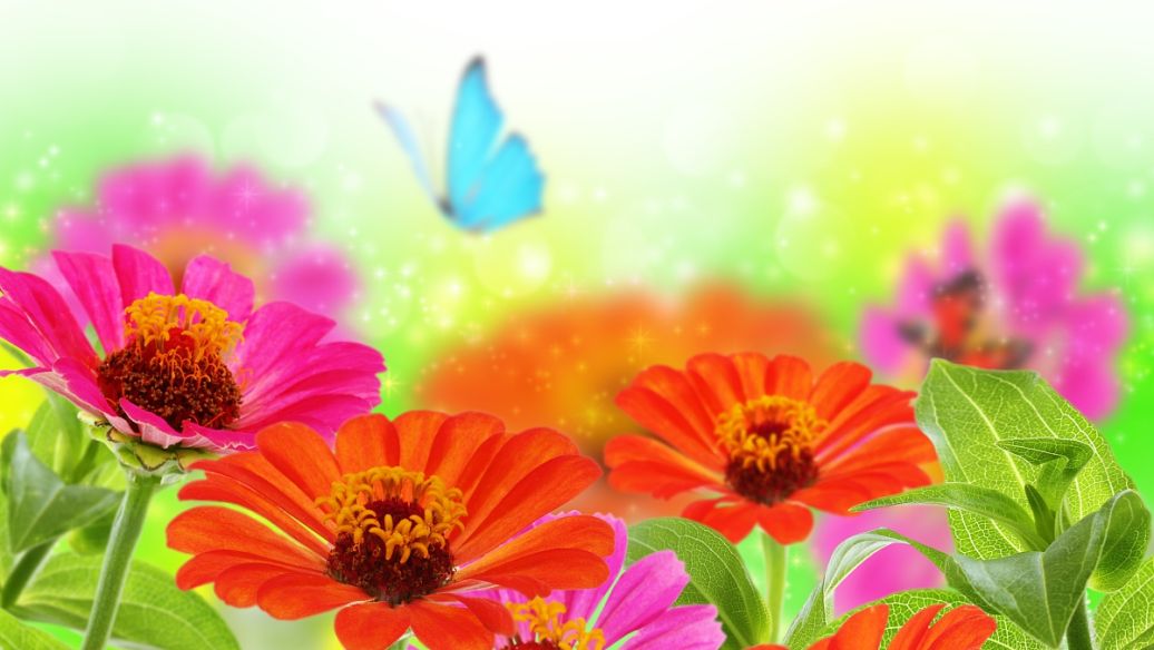 ��ͼ���زĹٷ�������v1.0.0 �ٷ�����