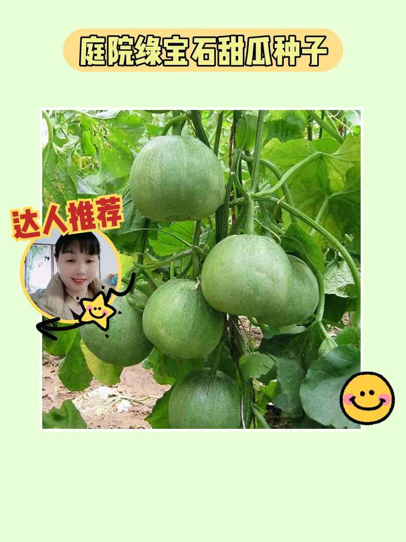 ��Ϲٷ�����v1.9.6 ���ٰ�