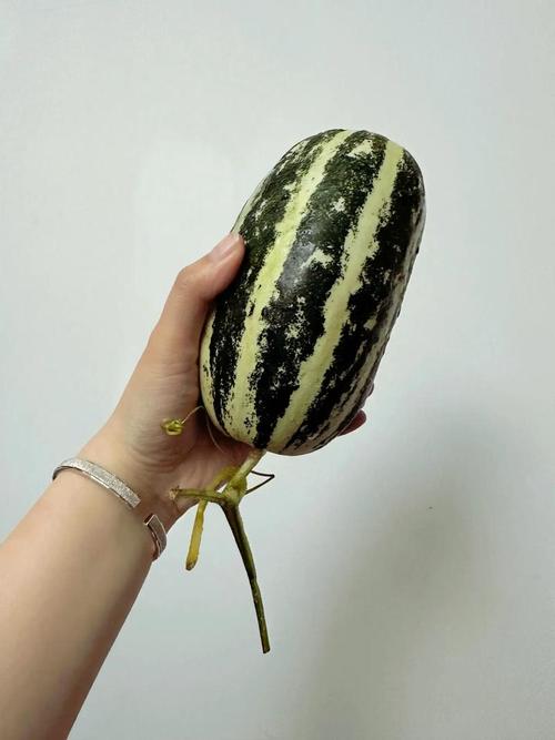 ��Ϲٷ�����v1.9.6 ���ٰ�