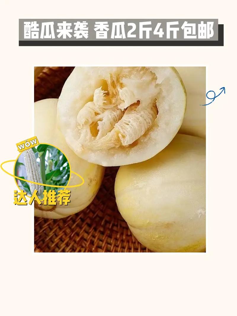 ��Ϲٷ�����v1.9.6 ���ٰ�