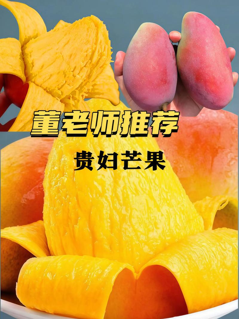 â����ʦBlueMango Teacher�ֻ�������v1.5.0 �ٷ�����