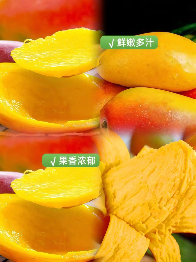 â����ʦBlueMango Teacher�ֻ�������v1.5.0 �ٷ�����