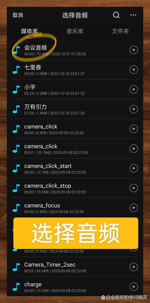 ��Ƶת�����ֹٷ�������v1.0.0 �ٷ�����