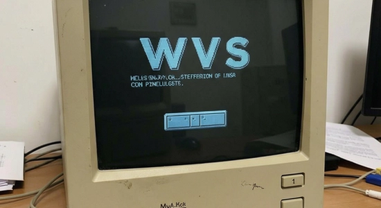 WVSģ����������