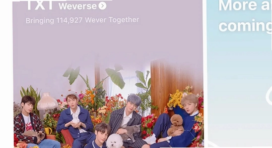 Weverse��װ·������,���� ��ͼ ��ˮӡ