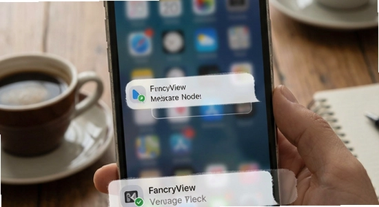 FancyView��Ϣ֪ͨ������