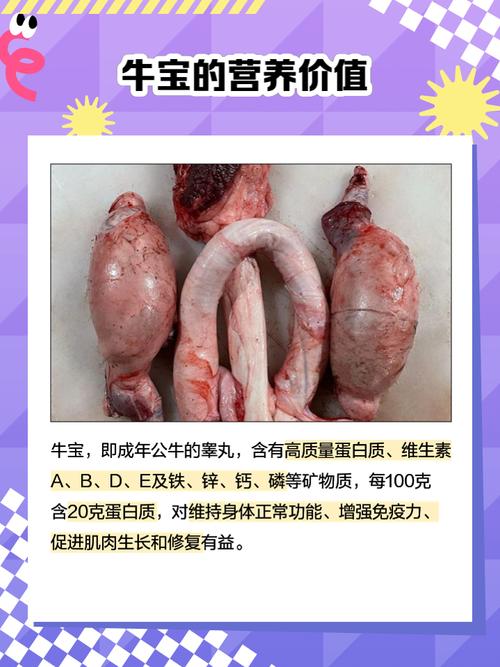 ţ�α���NiuKeBaodian��׿�����ؽ�ͼ