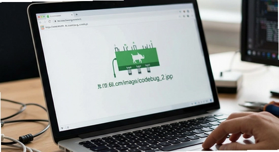 https://www.6ll.com/images/codebug_2.jpg