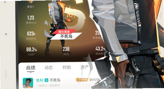 掌上瓦罗兰特助手使用技巧,掌上无畏契约助手安全下载