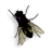 Fly on desktop电脑版下载v1.0.0 官方正版