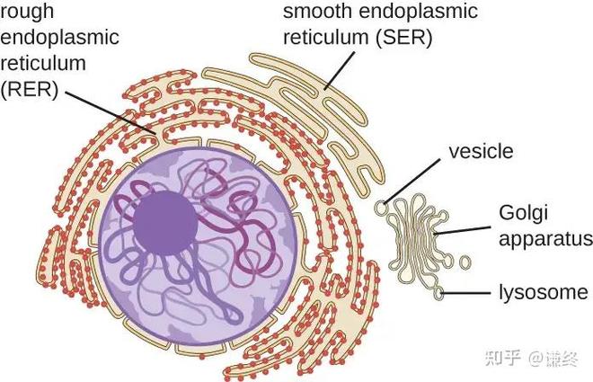 GnuCleus�ٷ������ؽ�ͼ