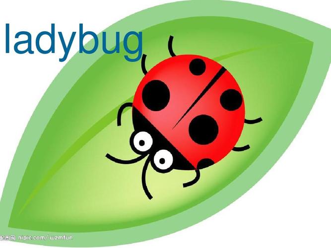 Ladybug on desktop桌面萌宠官方版下载截图