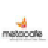 Metacafe Video Downloader�ٷ�������1.0.0 �ٷ�����