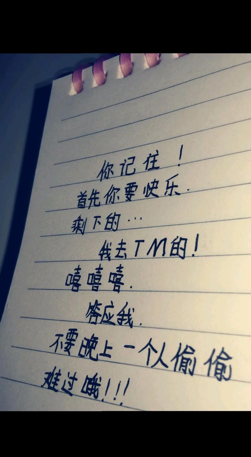 手写备忘录Handwritten Memo官方版下载截图