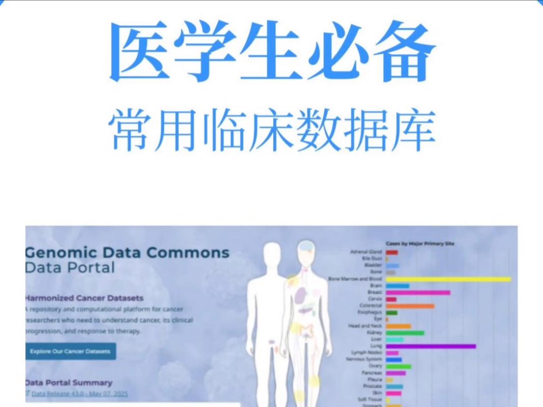 临床医师统计学助手官方版下载截图