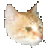 �������ƴ����ѯ���ٷ�������v1.0.0 �ٷ�����