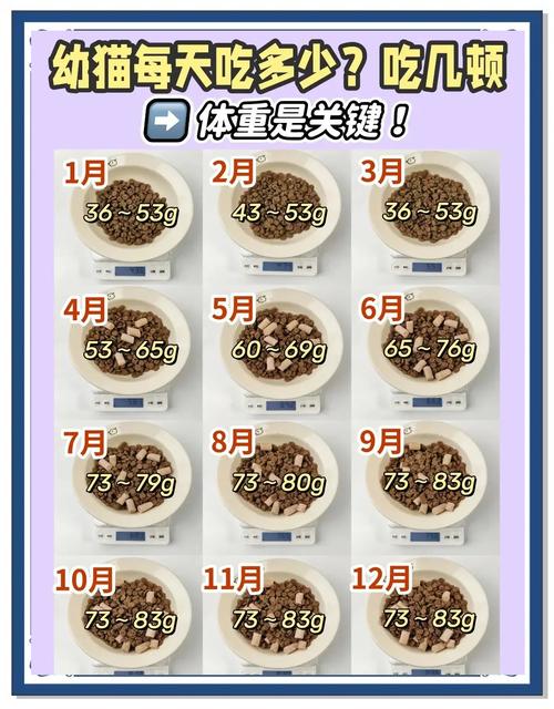 �Զ���Calorie Counter�ٷ�����v2.4.1 ��������