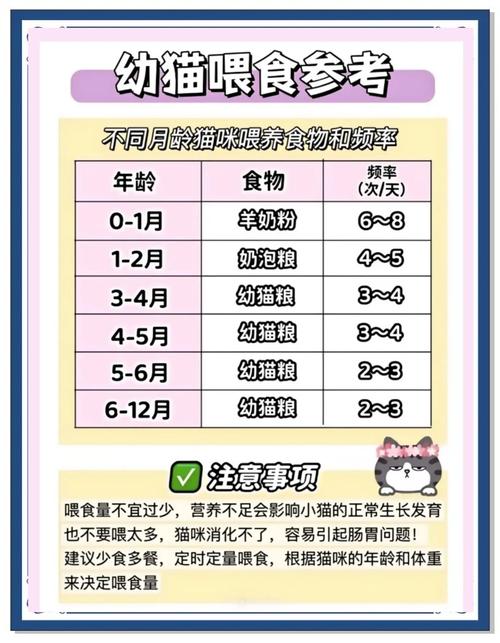 �Զ���Calorie Counter�ٷ�����v2.4.1 ��������