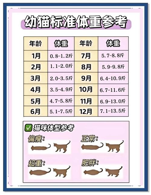 �Զ���Calorie Counter�ٷ�����v2.4.1 ��������