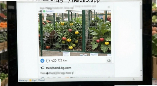 https://www.6ll.com/upload/2026/01/01/leida3.jpg
