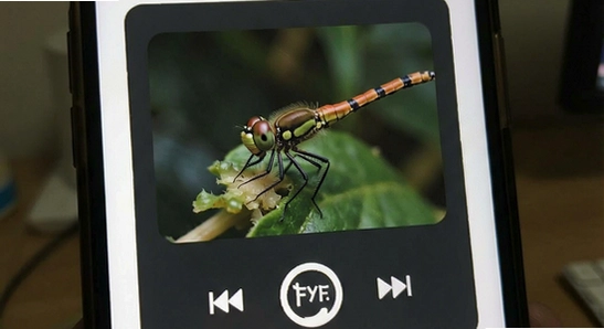 ����FM������Ƶ�޷�����