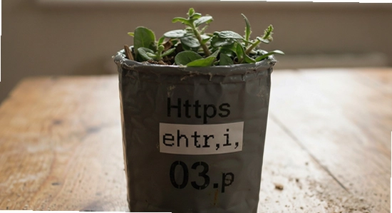 https://example.com/wj_hyl_03.jpg