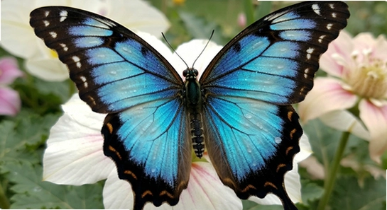 https://www.6ll.com/images/2026/01/15/��Դ-02.jpg