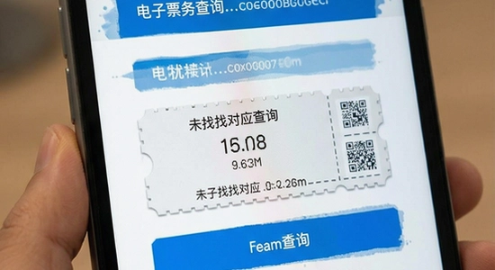 电子票务查询为什么显示未找到对应票据