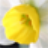 ���ʵ���ͨ�ٷ�������v1.0.0 �ٷ�����