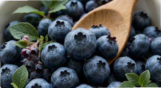 blueberry_cast_03.jpg