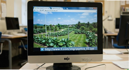 http://www.ll.com/img/qspttcs_02.jpg
