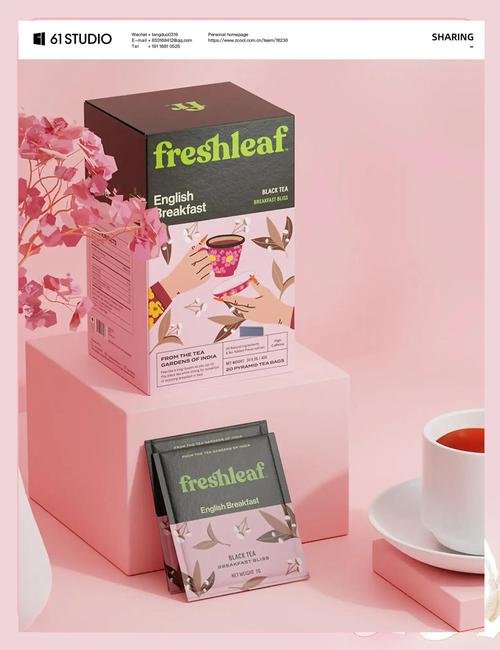 Fresh Diagnose�ٷ�������v9.0.0 �ٷ�����