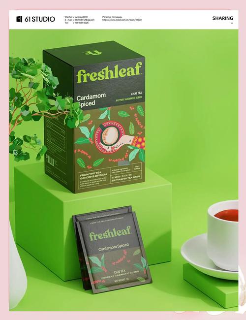 Fresh Diagnose�ٷ�������v9.0.0 �ٷ�����