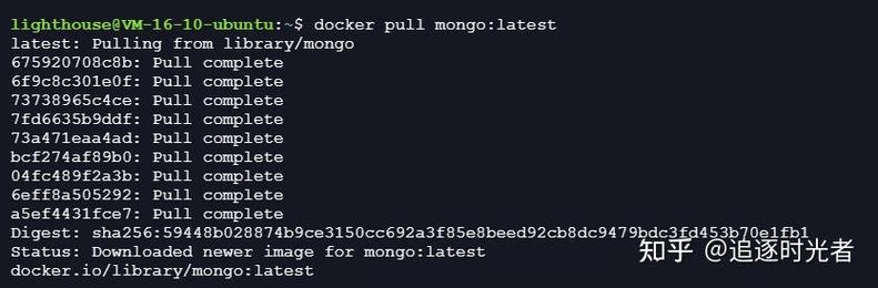 Chamongo���԰�����v1.0.0 �ٷ�����