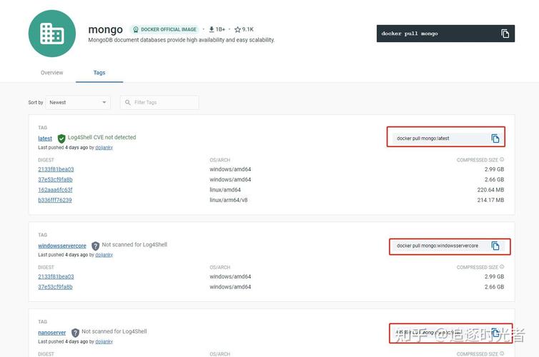 Chamongo���԰�����v1.0.0 �ٷ�����