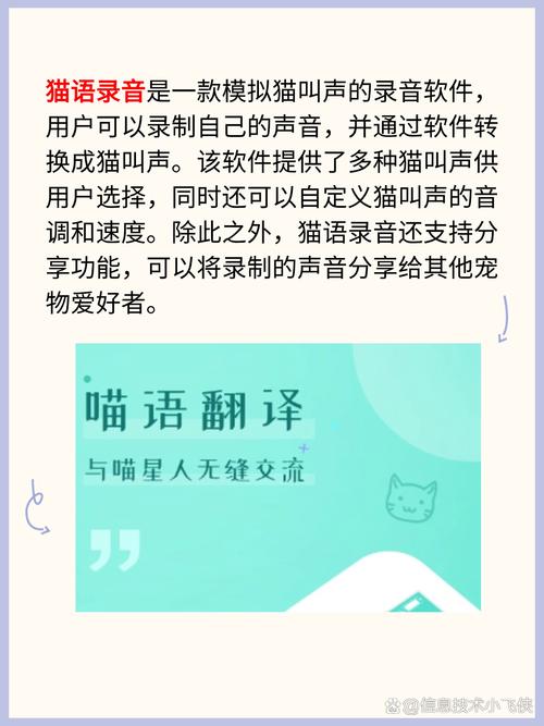 楼月免费MP3录音软件最新版下载截图