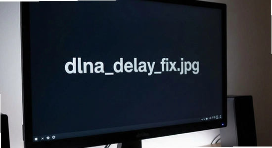 dlna_delay_fix.jpg