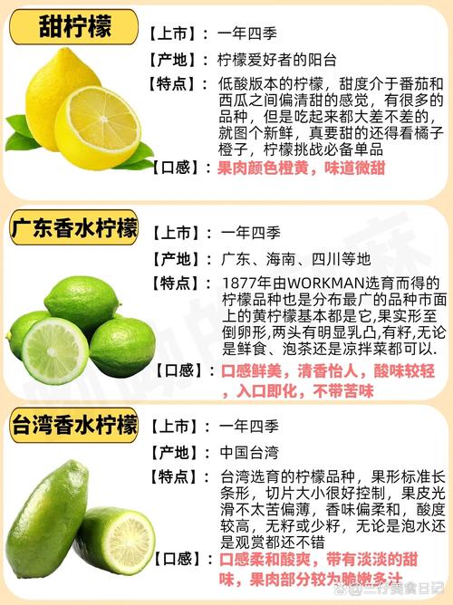 ����Ӣ��Lemon English�ٷ��������ؽ�ͼ