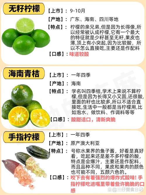����Ӣ��Lemon English�ٷ��������ؽ�ͼ