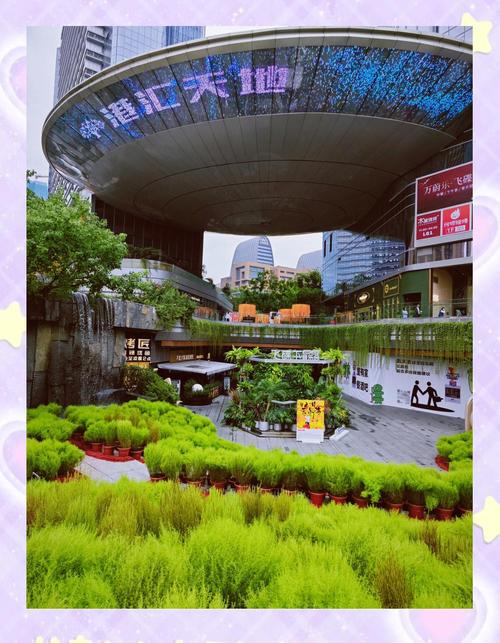 泽港汇官方版下载截图