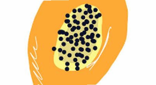 木瓜玩游戏 免费下载 安全吗