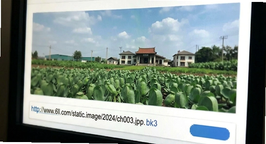http://www.6ll.com/static/images/2024/czh003.jpg
