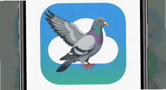 ������app�����ͼ